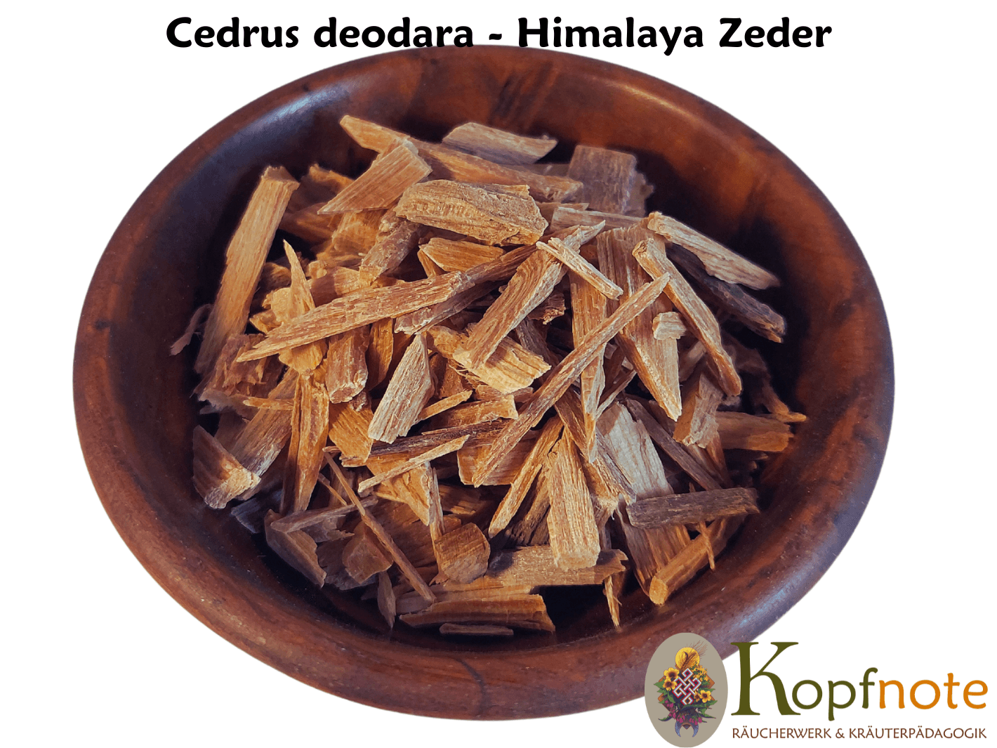 Himalaya-Zeder - Cedrus deodara