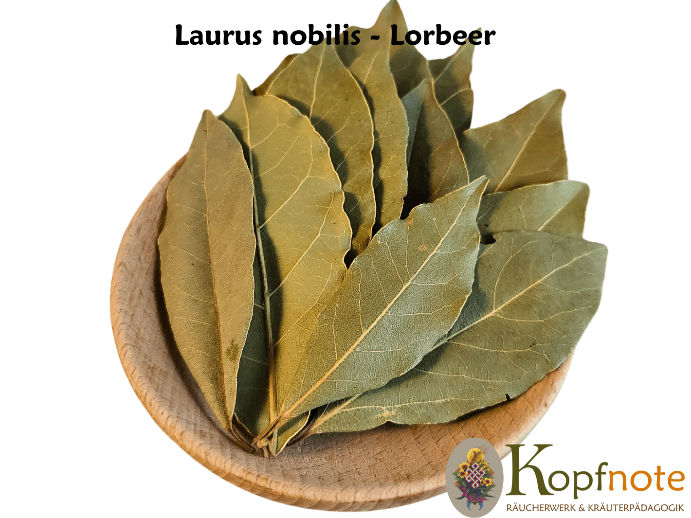 Lorbeerblätter - Laurus nobilis